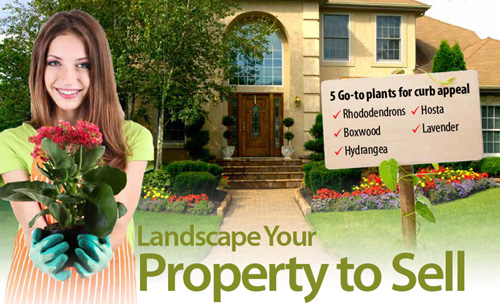 Easy Landscape tips to sell your andover ma home