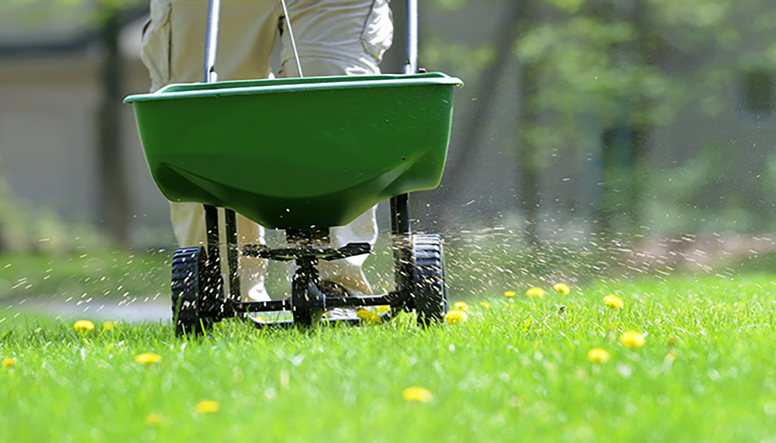 Revive Your Lawn After Winter